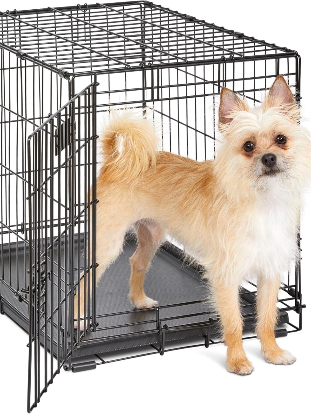 MidWest Homes for Pets 24-Inch iCrate